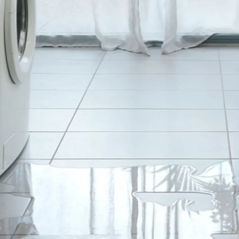 Appliance Leak Cleanup in Rockledge, FL